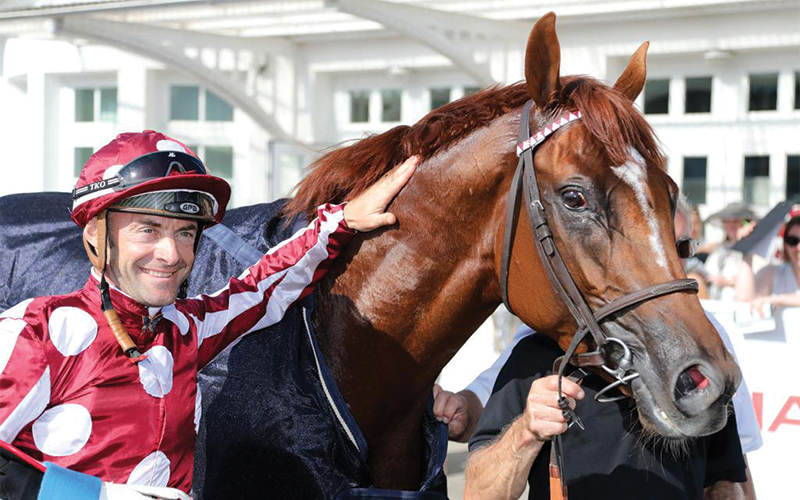 HH Sheikh Abdullah bin Khalifa Al Thani&rsquo;s FRENCH KING