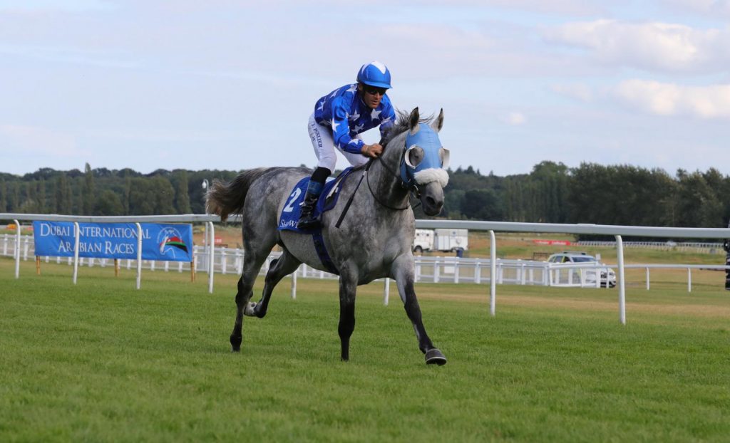 H.H Sheikh Mohammed bin Khalifa Al-Thani&rsquo;s GAZWAN takes home Shadwell Dubai International Stakes (Gr1/PA)