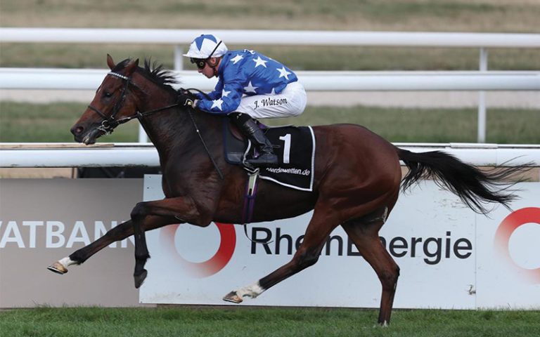 &ldquo;سبيتار&rdquo; ملك وإنتاج سمو الشيخ محمد بن خليفة آل ثاني 