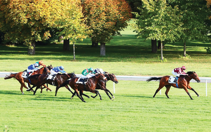المهر &ldquo;يومنا&rdquo; ملك سمو الشيخ عبدالله بن خليفة آل ثاني