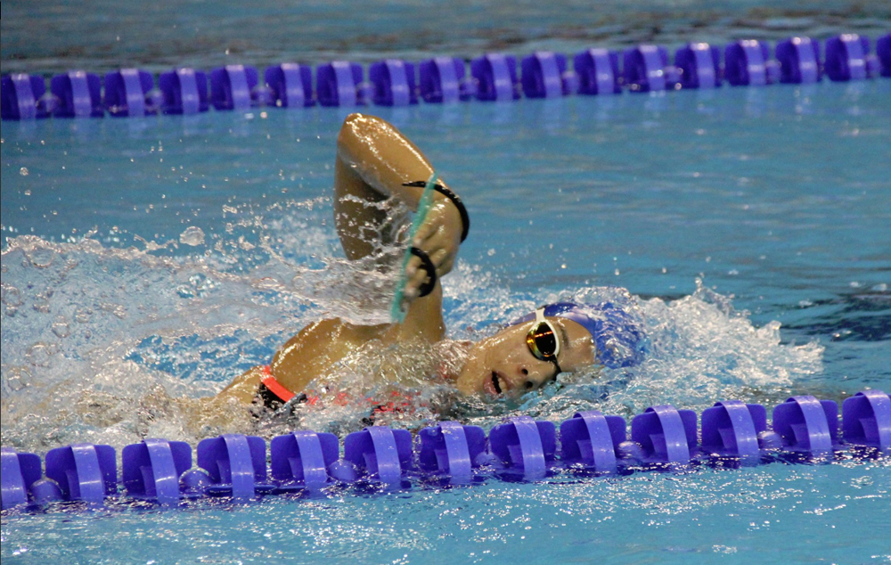Stage set for final meet of FINA World Cup in Doha