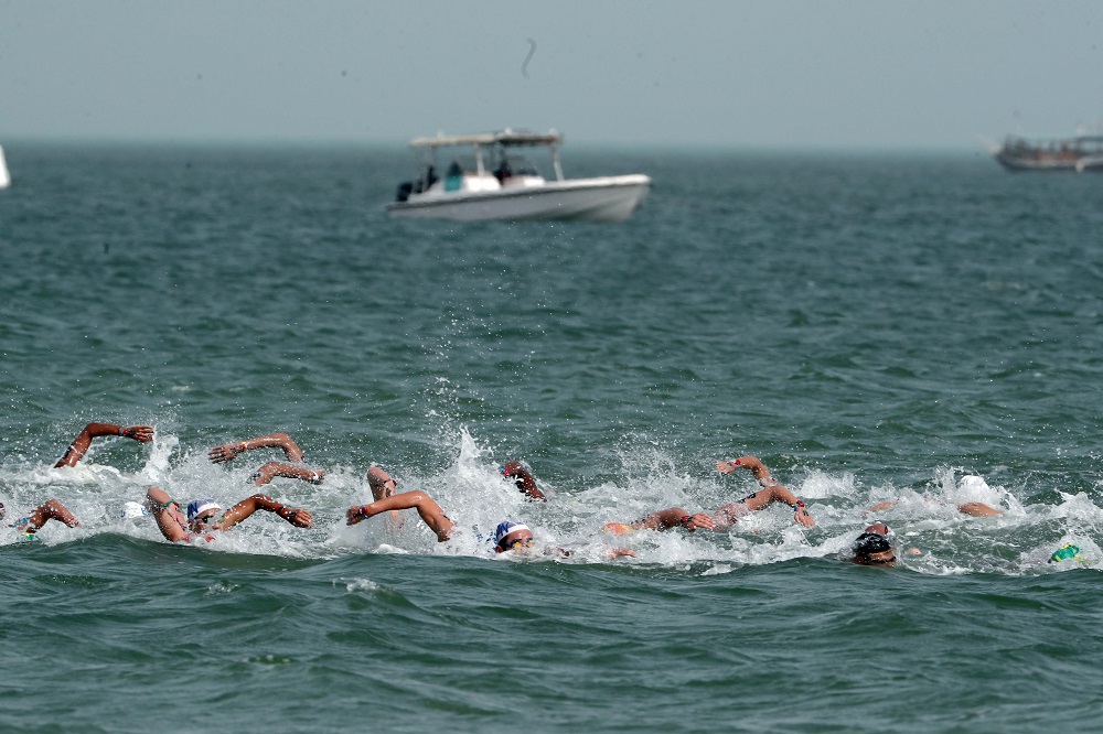 FINA Marathon World Series