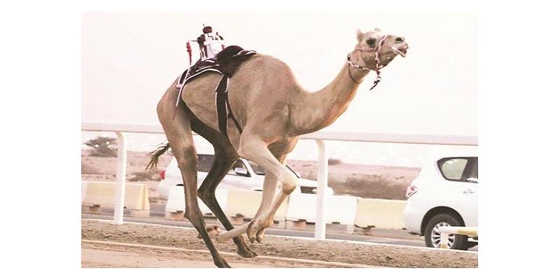 جانب من السباق