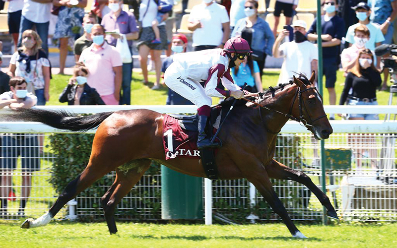 SAQR winner of Qatar Prix des Yearlings