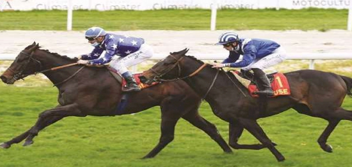 الجواد "مرجان" ملك الشقب يحرز لقب جائزة "جورا تو" بفرنسا