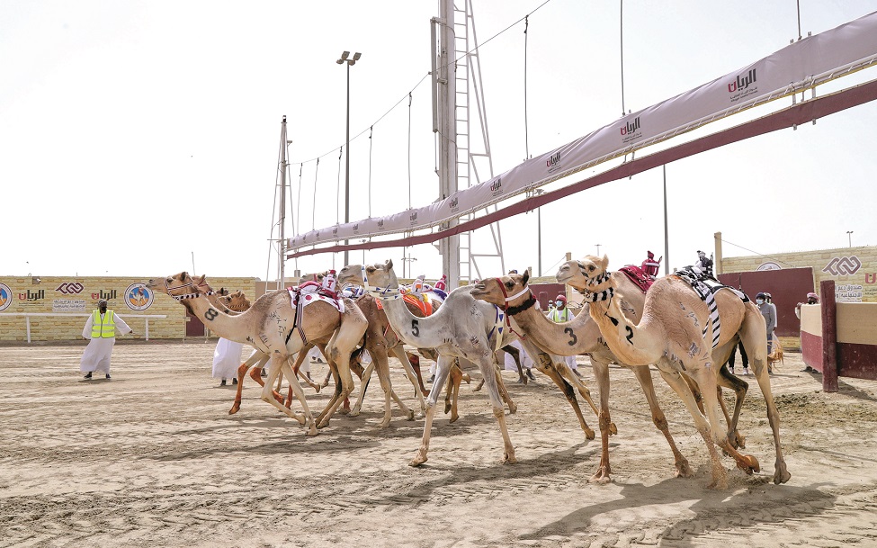 جانب من المهرجان السنوي لسباق الهجن العربية الأصيلة