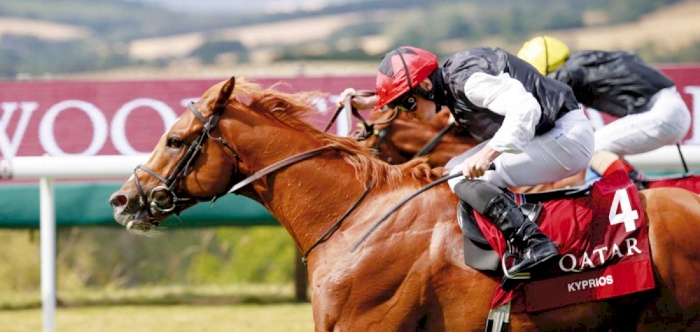 Qatar Goodwood Festival