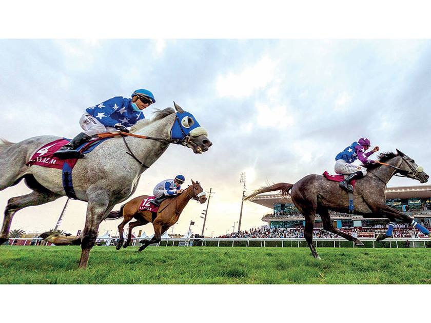  Qatari Equestrian Events to Promote Qatar World Cup 2022