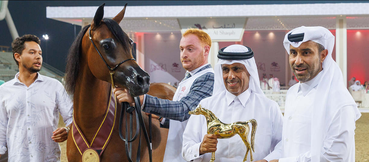 Al Shaqab International Arabian Horse Show concludes